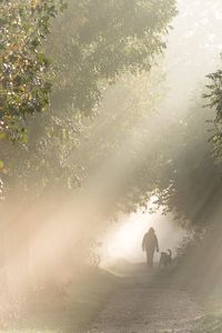 Landschaft Licht (2)